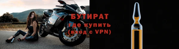 сатива Новокубанск