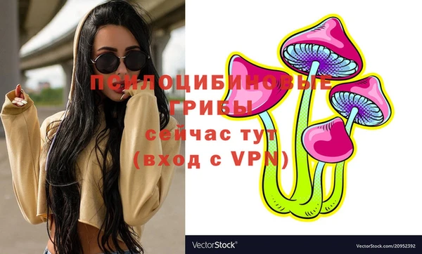 герыч Горнозаводск