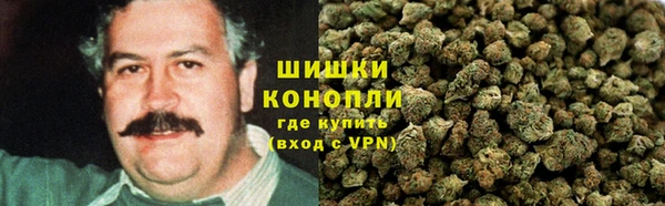spice Новозыбков