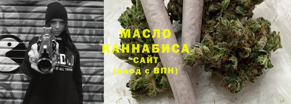 крисы Тында